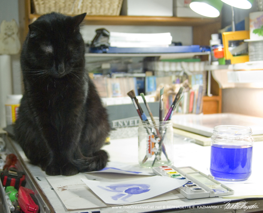 Mewsette takes a sidelong glance at my paintings of her, trying to be polite.