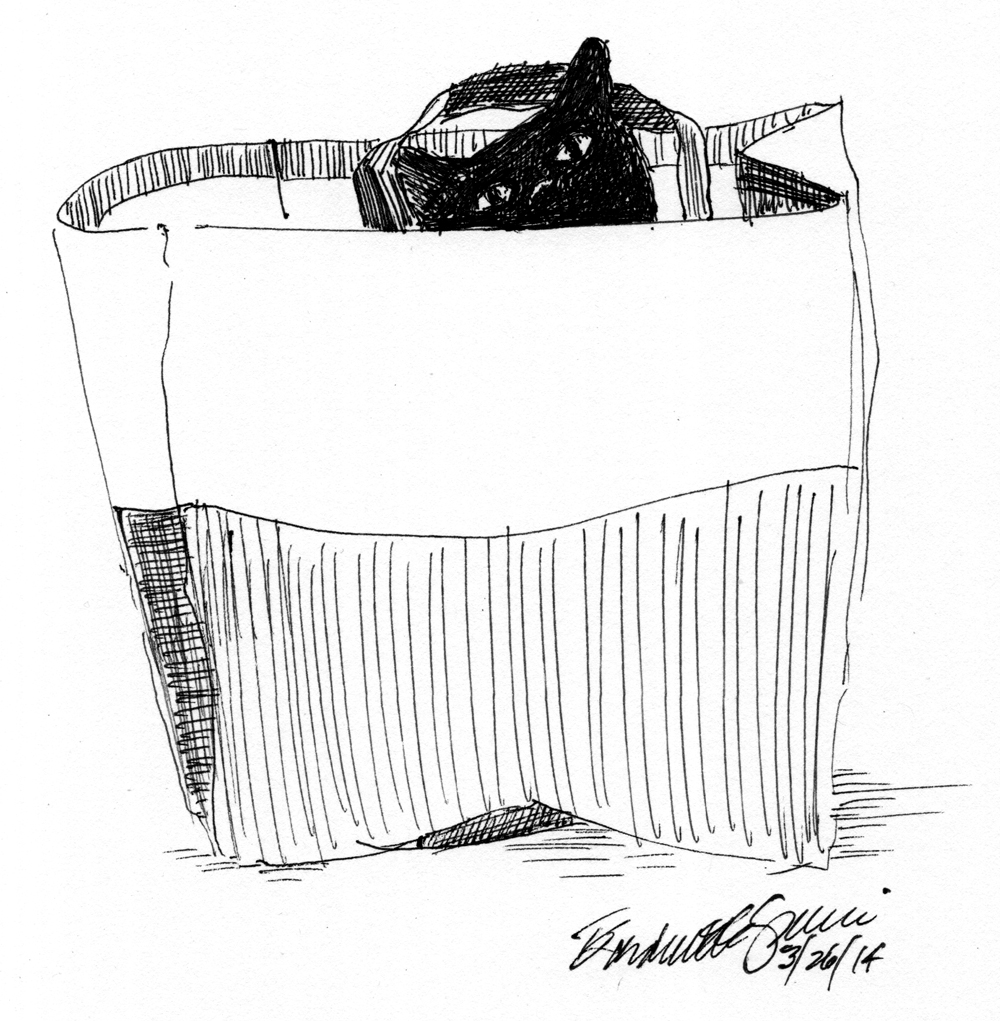 ink sketch of cat in bag
