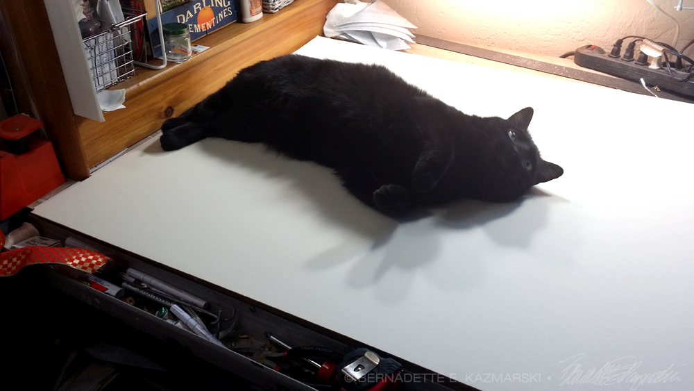 black cat on mat board