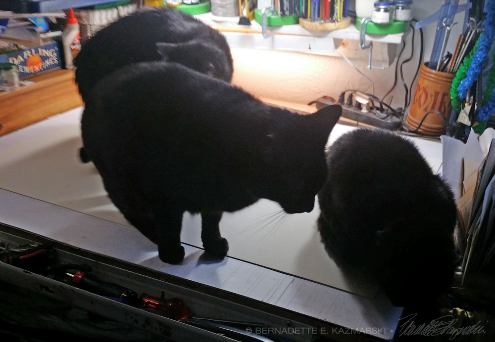 three black cats on mat board