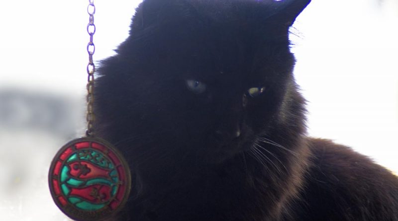 black cat with pisces medallion
