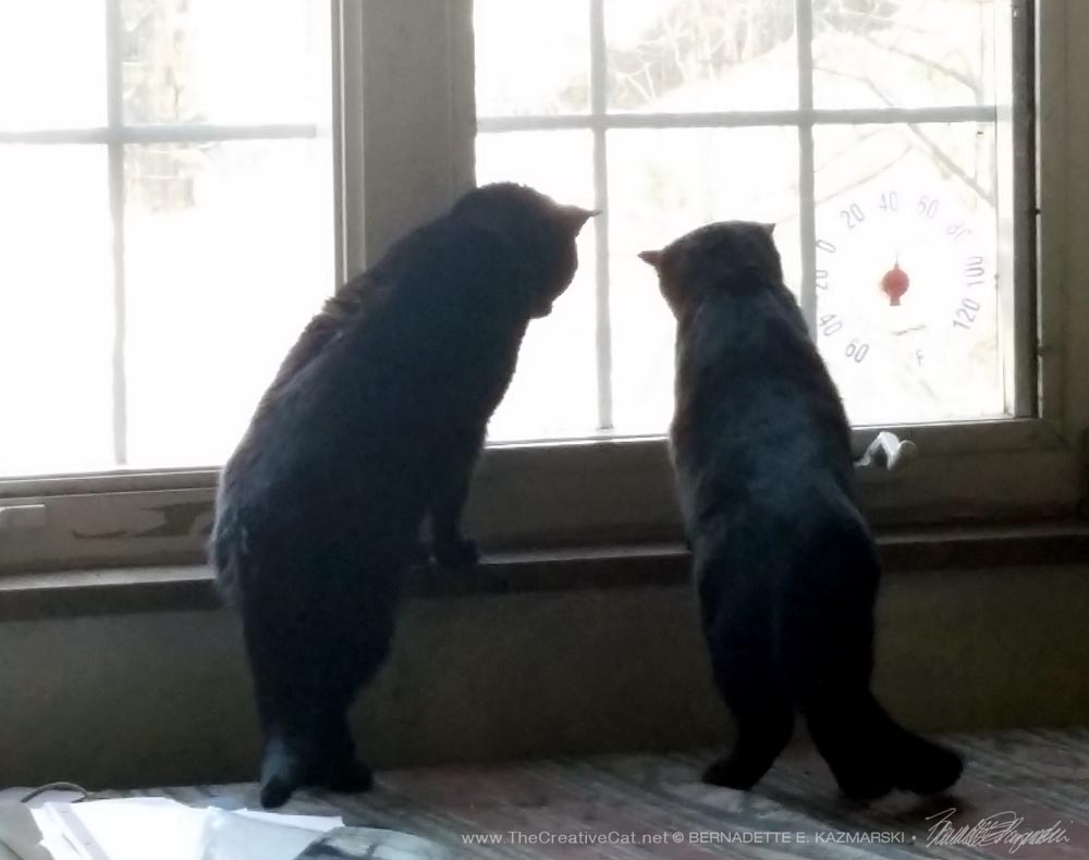 Giving some birdwatching pointers to the little one.