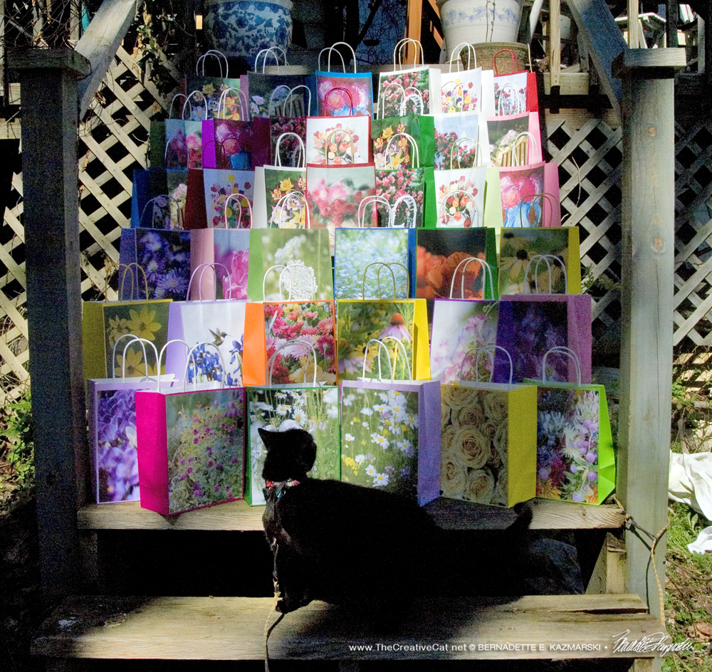 Mimi looks at the the selection of gift bags we've made.