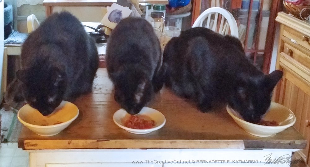 Mimi eats between Mewsette and Bella.