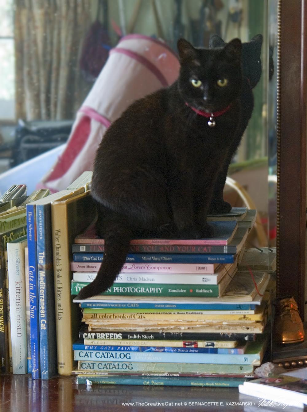 Mimi on the books.