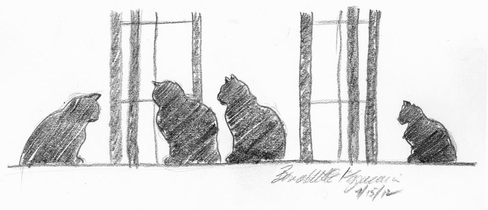 Four Cats at the Window, pencil, 9" x 4" © Bernadette E. Kazmarski