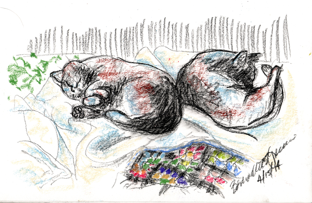 charcoal pastel sketch of two cats sleeping