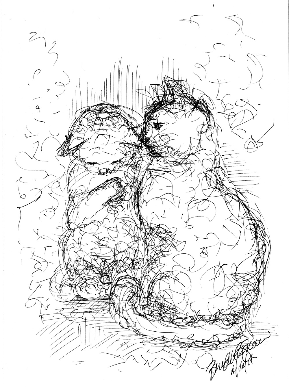 ink sketch of two cats