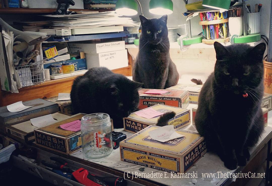 three black cats with cigar box keepsake boxes