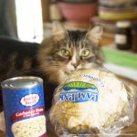 tabby and white cat with cauliflower and chick peas