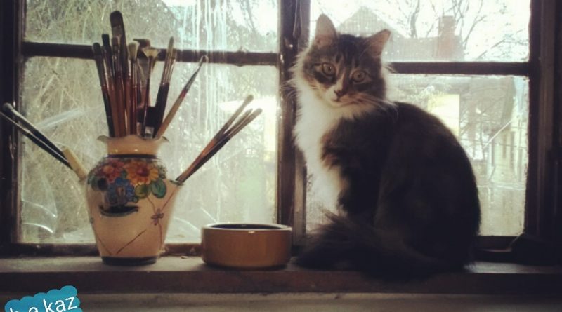 Such a pretty studio kitty.