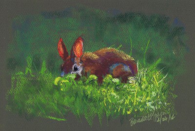 pastel sketch of rabbit in yard.