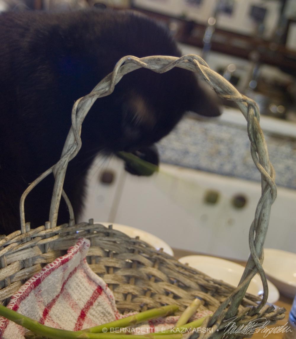 black cat wiht asparagus