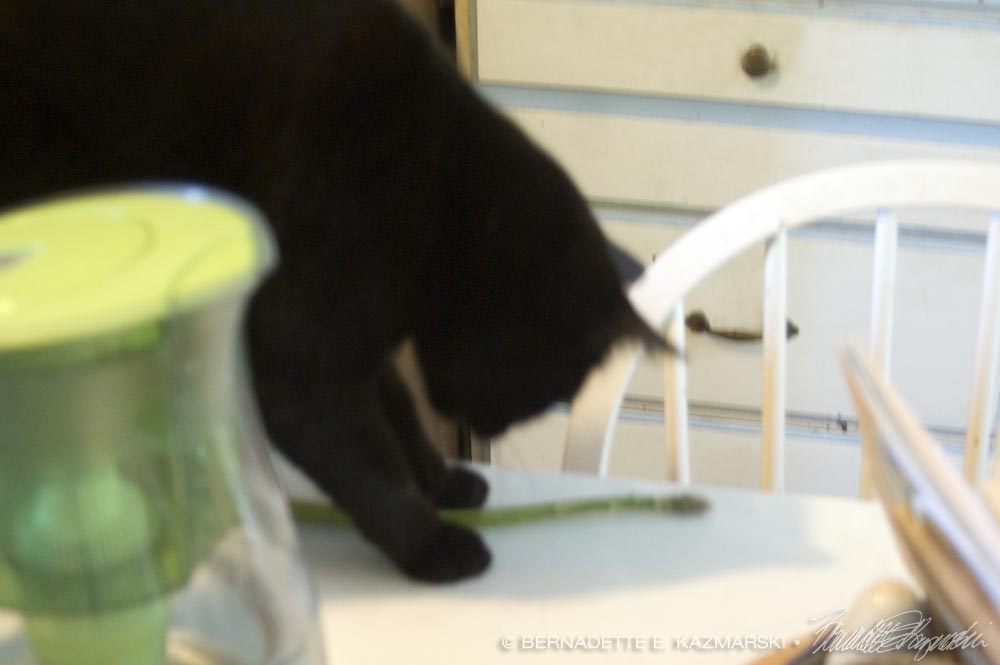 black cat with asparagus