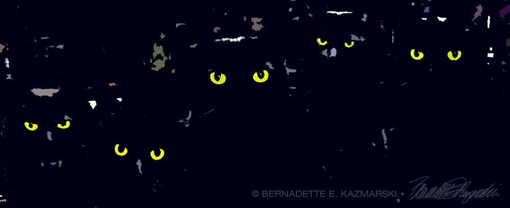 five black cats in kitchen