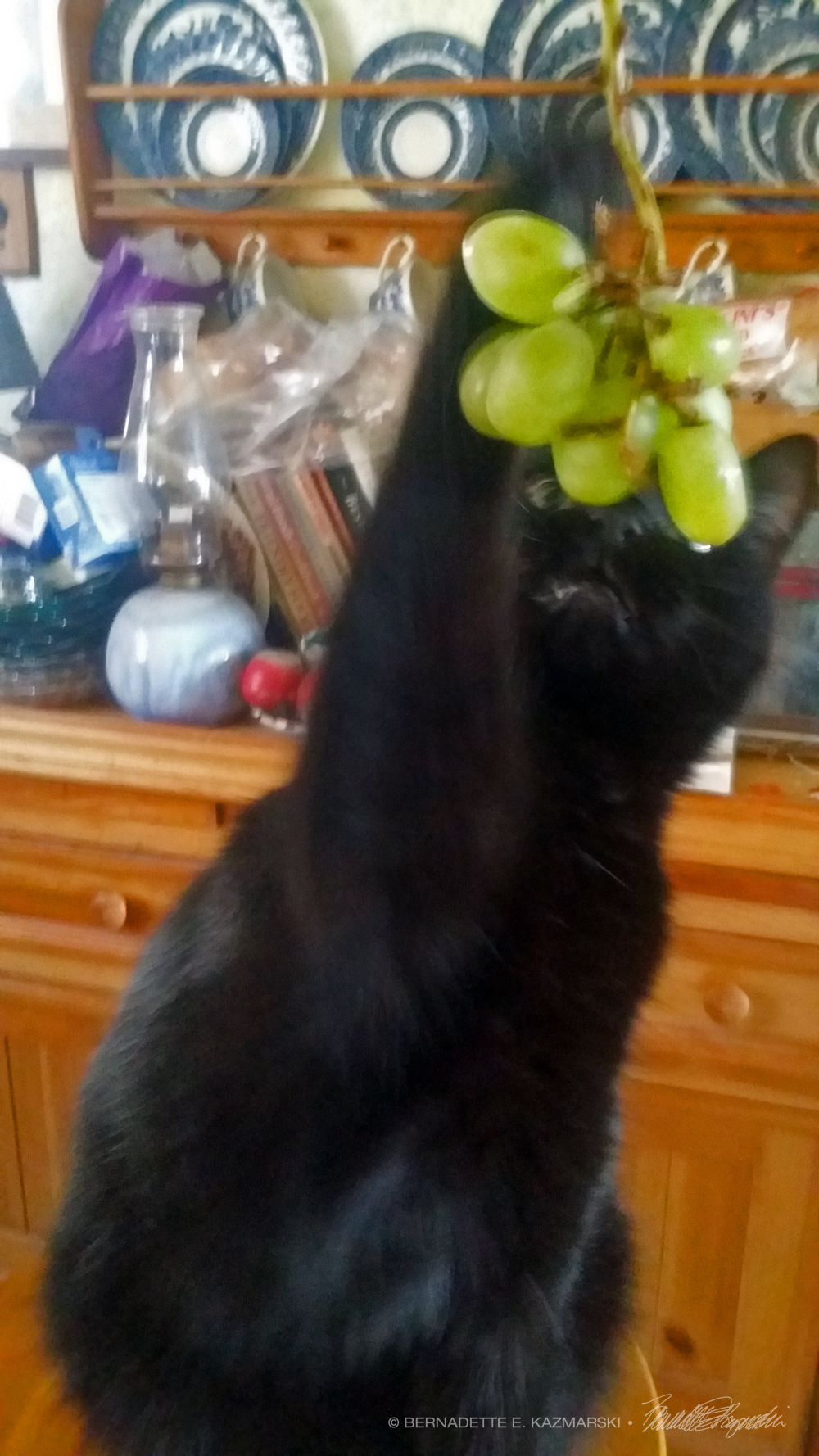 black cat with grapes