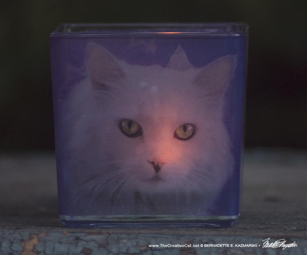 votive with white cat