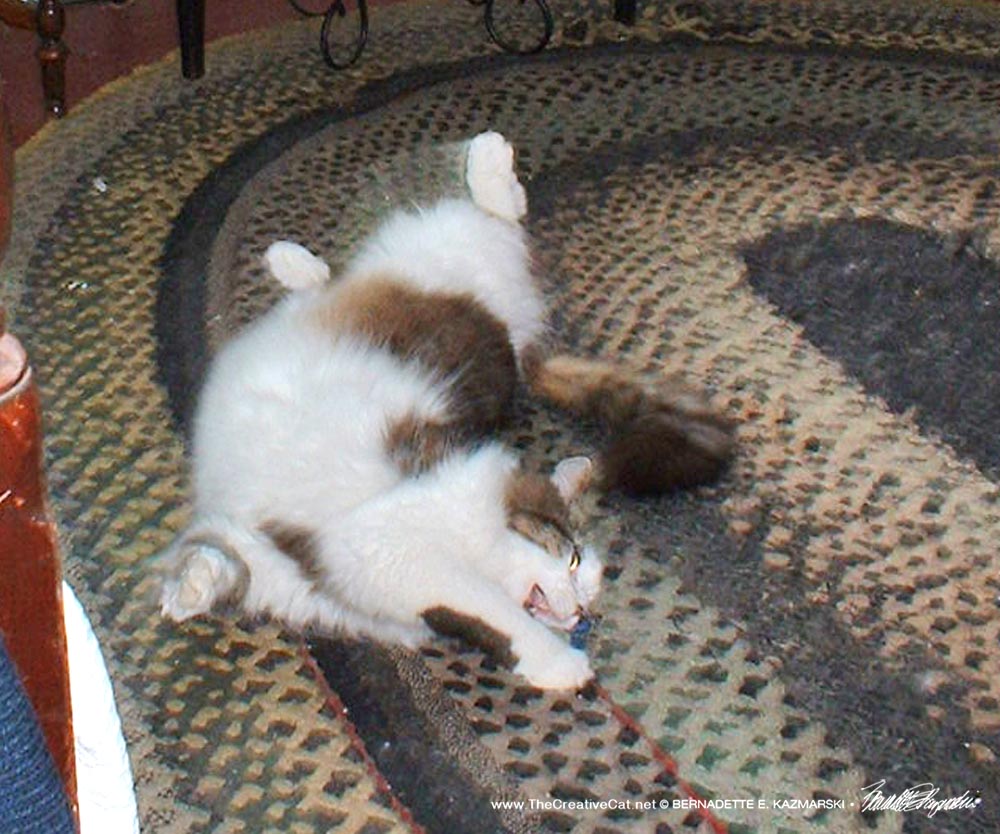 tabby and white cat rolling on rug