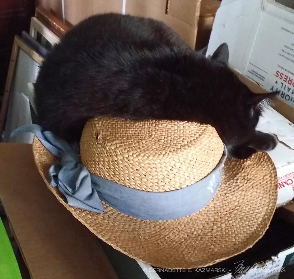 black cat with straw hat