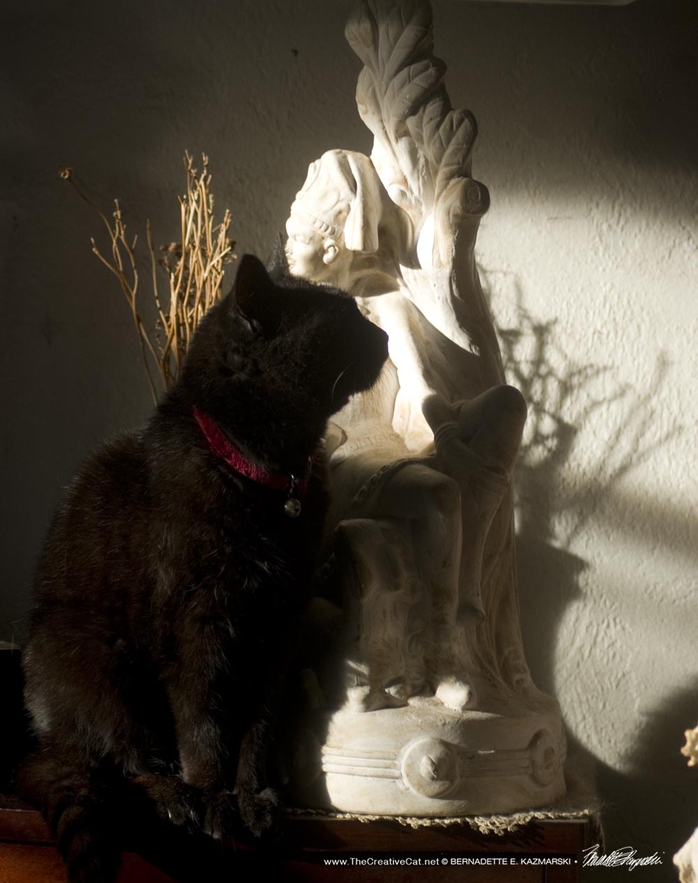 Daily Photo: Mimi as a Still Life - The Creative Cat