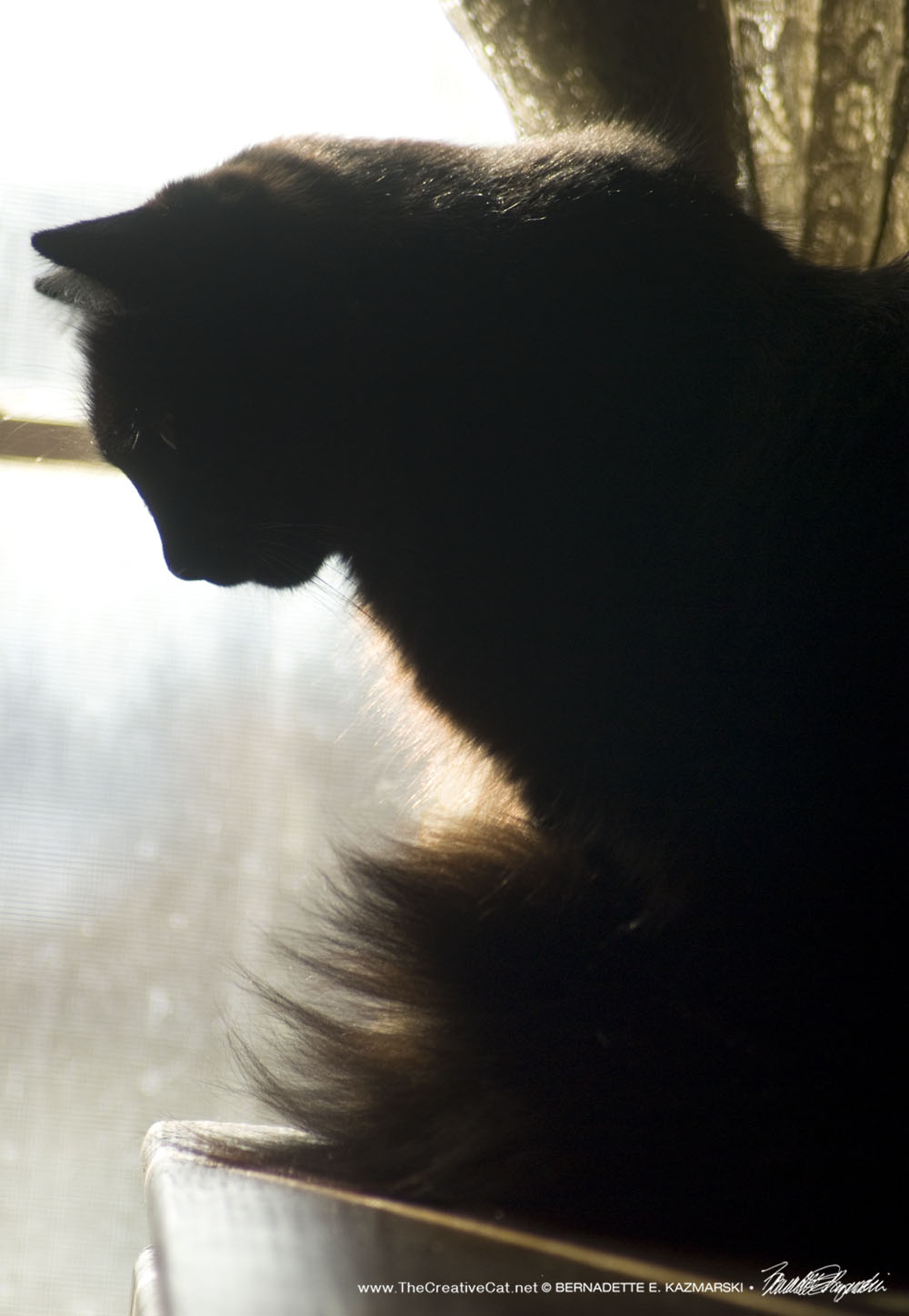 Hamlet at the window, 1