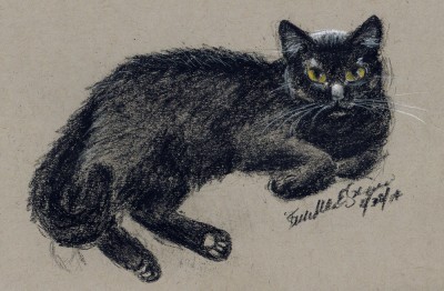 sketch of cat in white and black charcoal pencil on gray toned paper © Bernadette E. Kazmarski