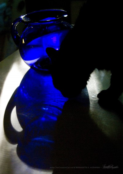 Blue Pitcher With Cat