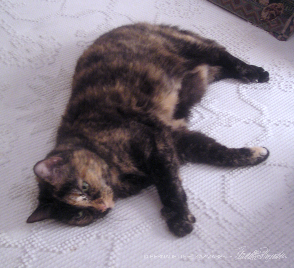 tortoiseshel cat on bed