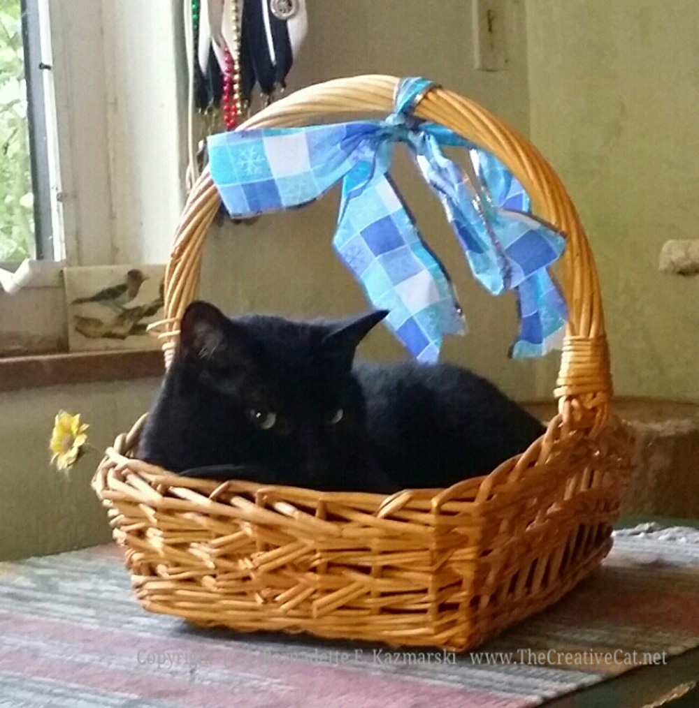 Giuseppe in the basket.