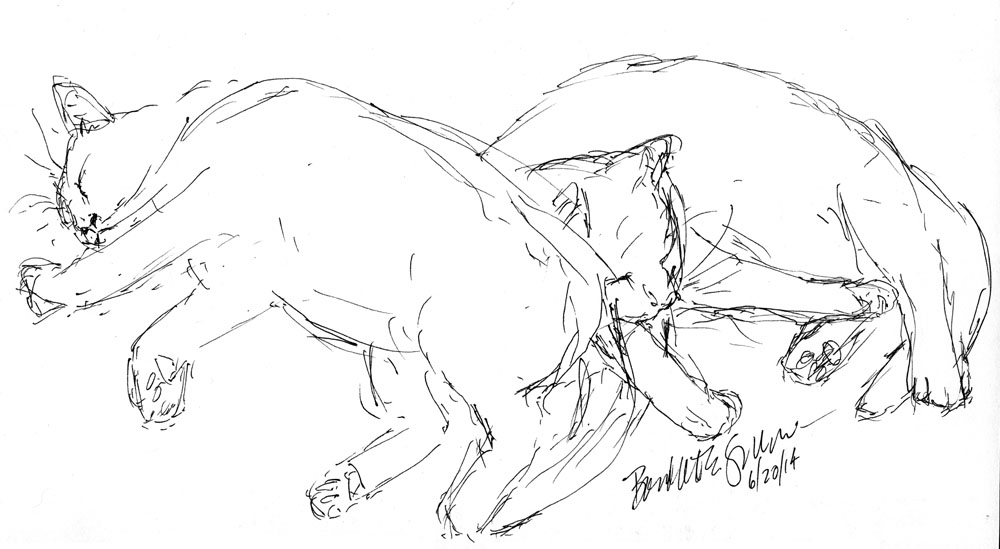 ink sketch of two cats sleeping