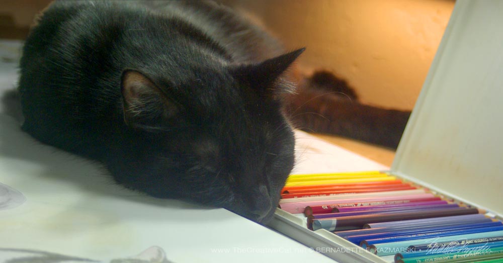 Mewsette fits right in between the palette and the pencils.