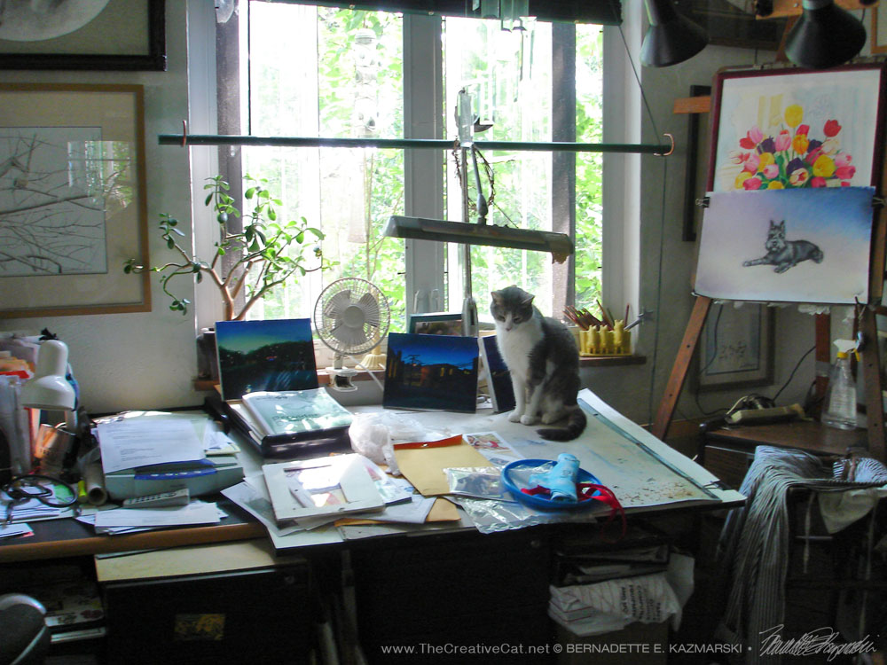 Namir on my drafting table when my studio was downstairs.