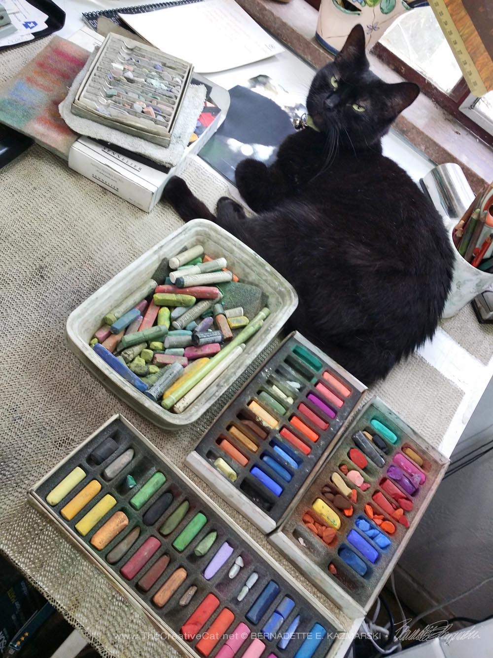 black cat with pastels