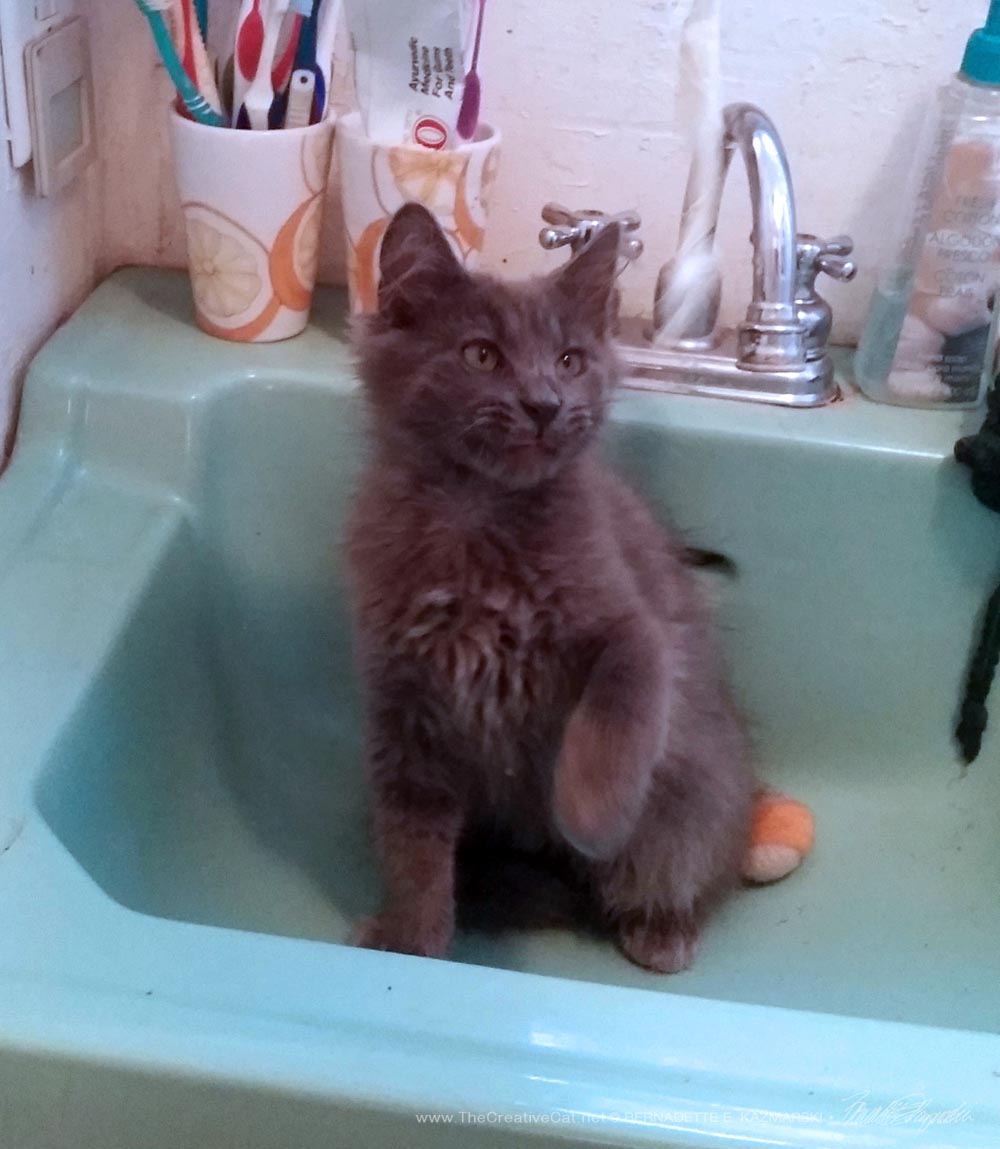 I'm looking good in the sink!