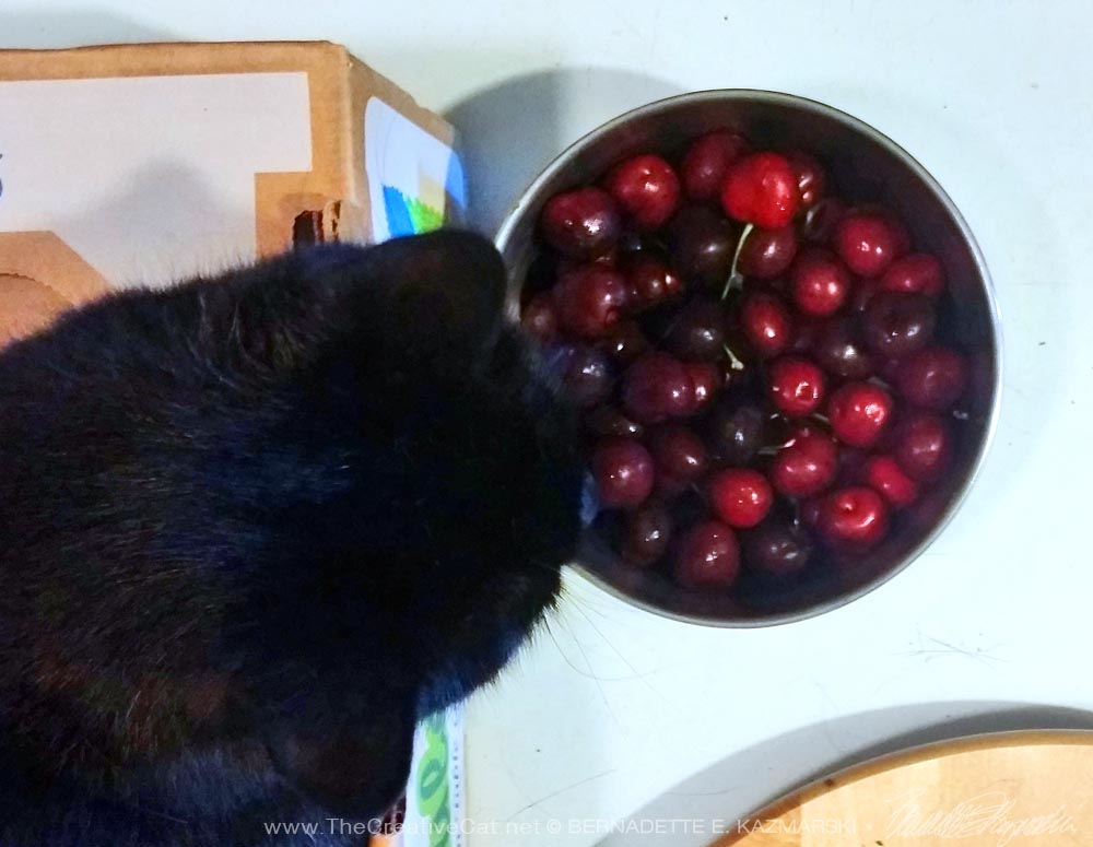 black cat with bowl of cherries