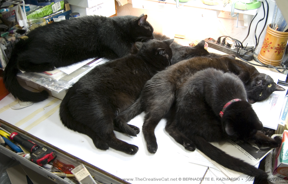 Now they've made it a family affair. Really, I can't tell you what an amazing thing it is to turn around and see this pile of happy black cats, and they have no idea what a wonder they are. I don't know how I get anything done some days.