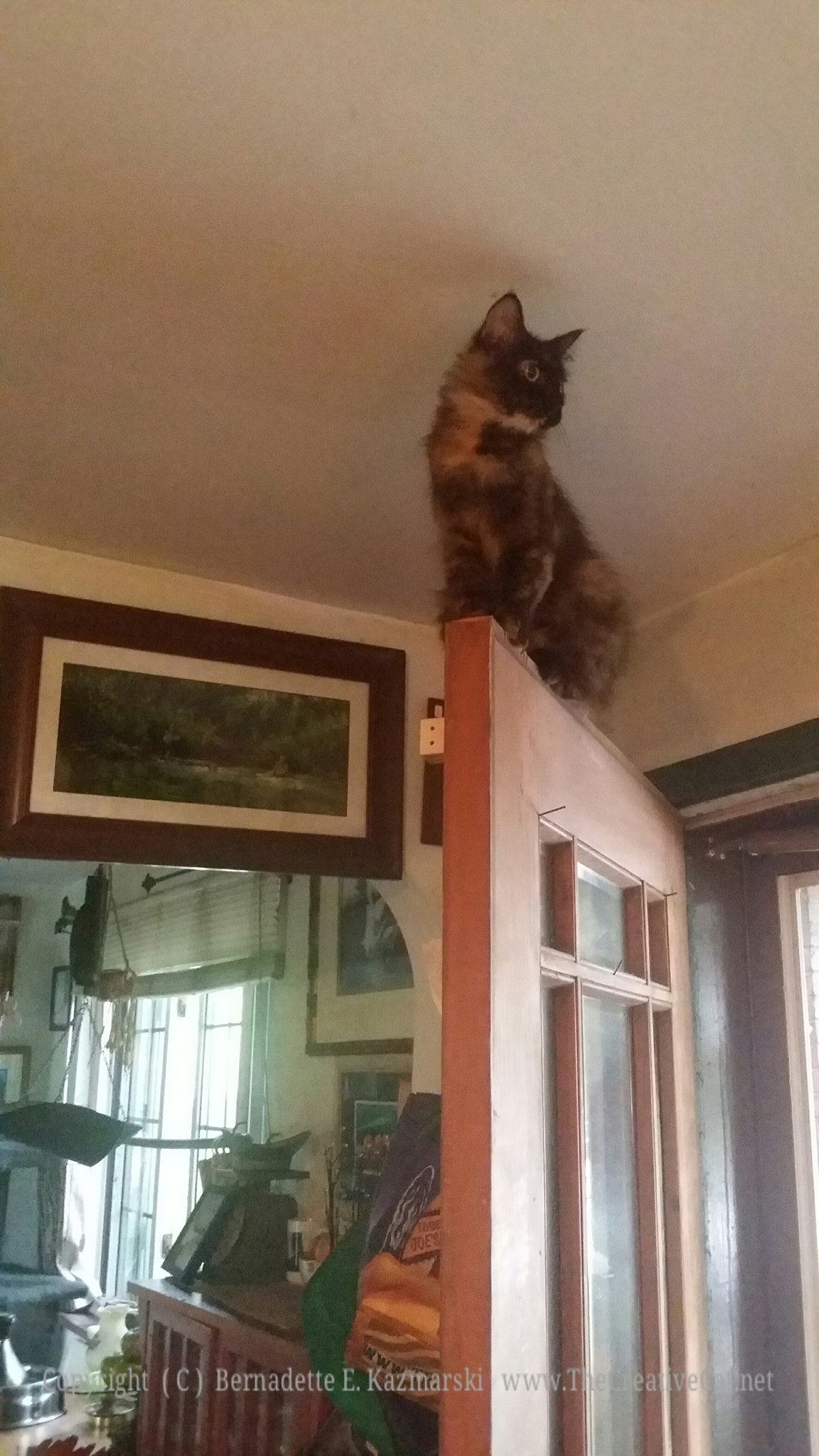 Just try to get me up here.