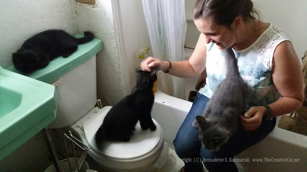 Margo greets all three kittens.