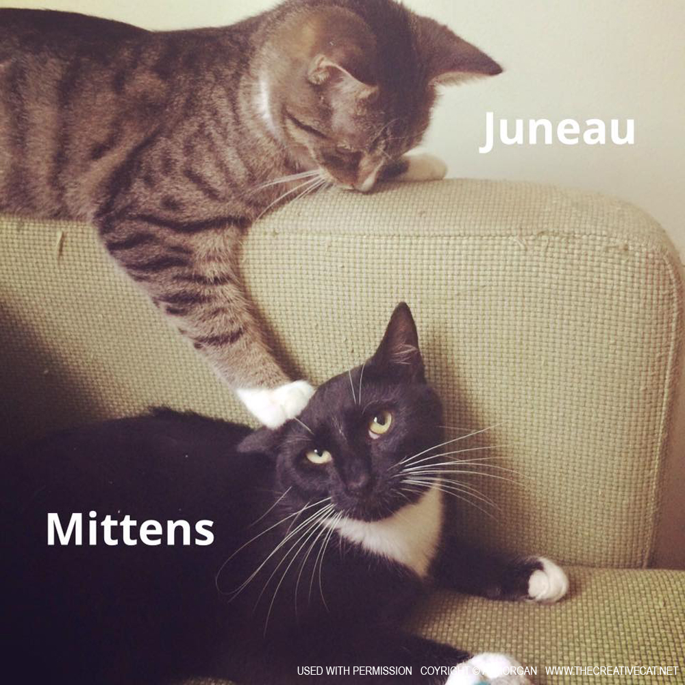 Juneau and Mittens