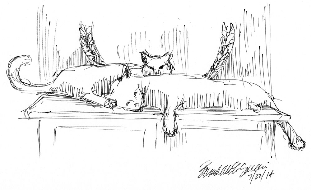 ink sketch of two cats napping