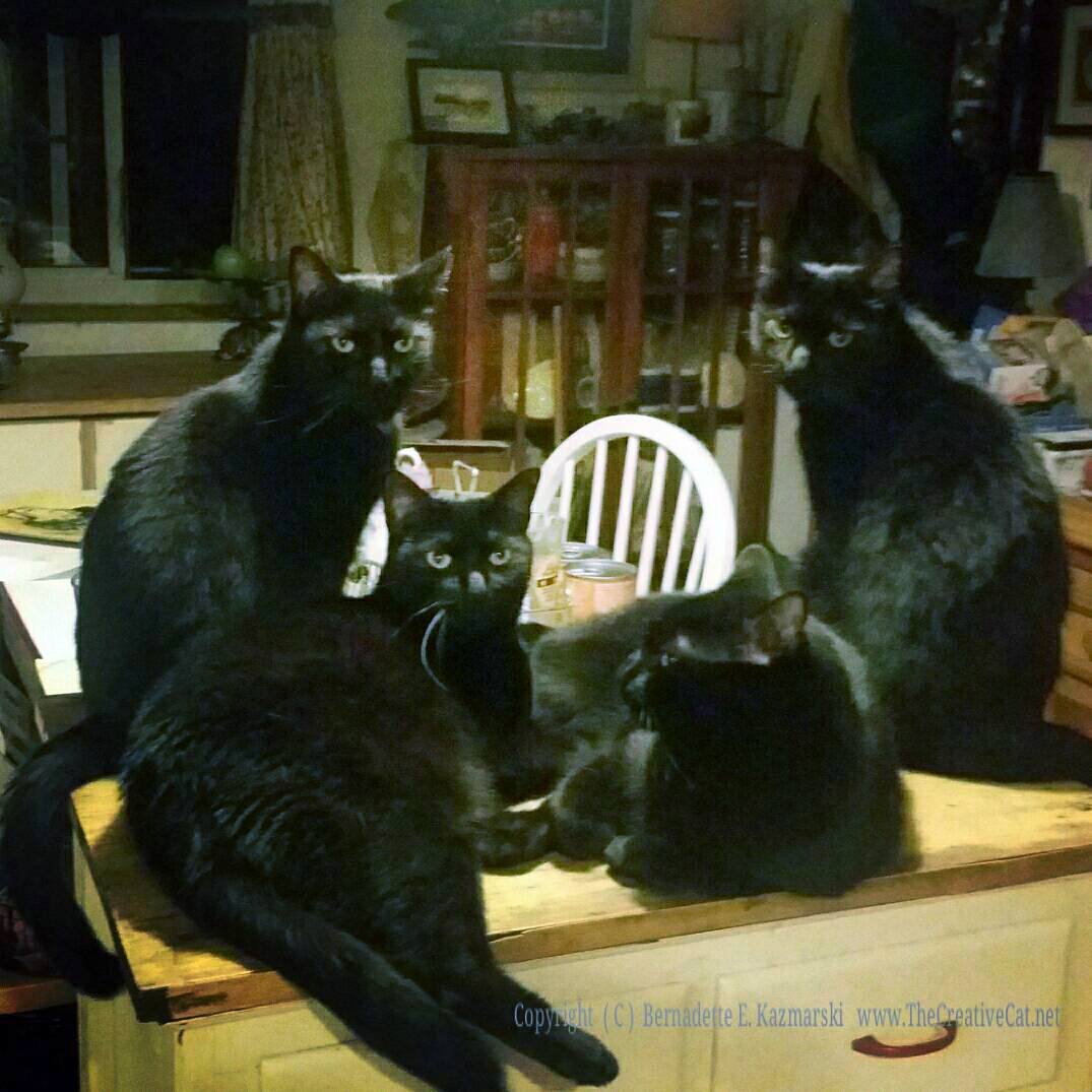 The Four Housecats of the Apocalypse.