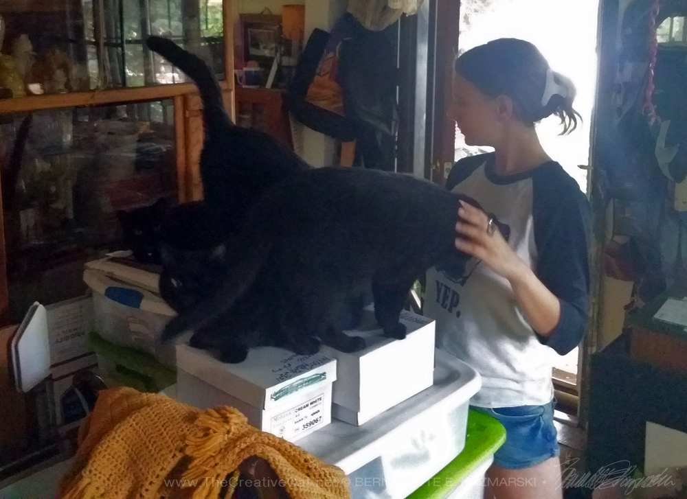 woman with black cats