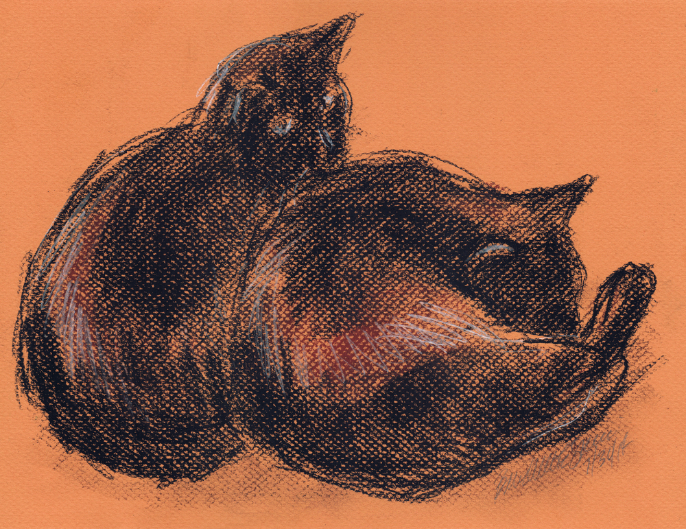 sketch of two black cats