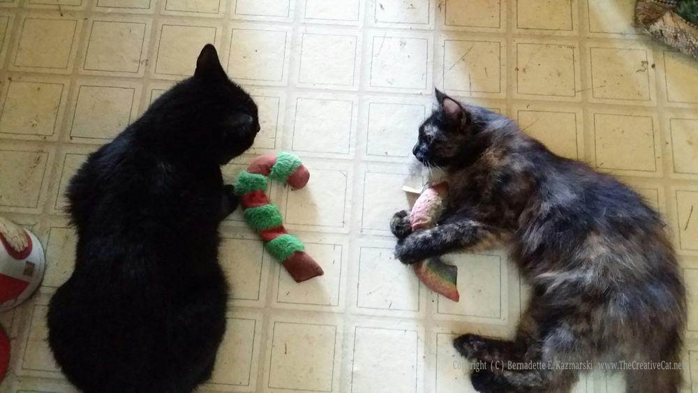 Mewsette and Charm have a catnip party.