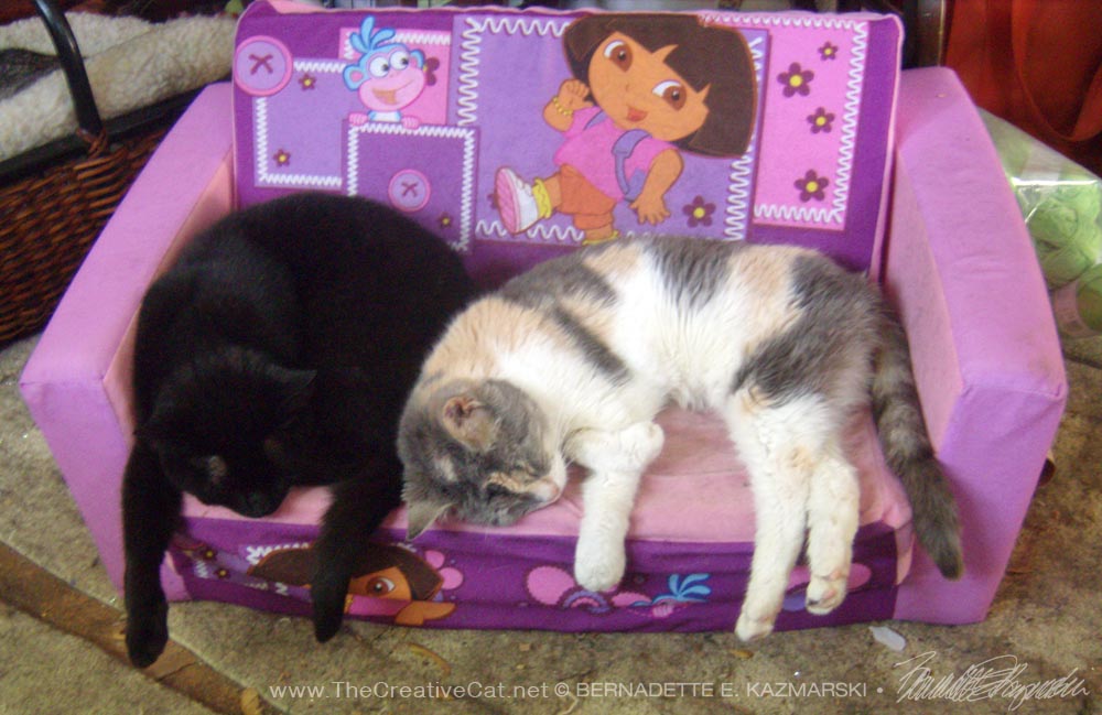 two cats on dora bed