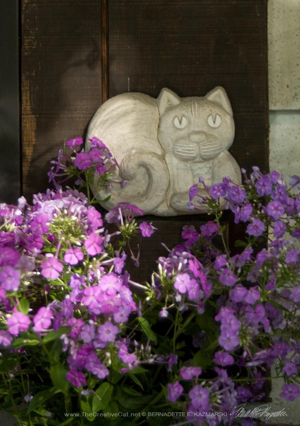 kitty plaque with phlox