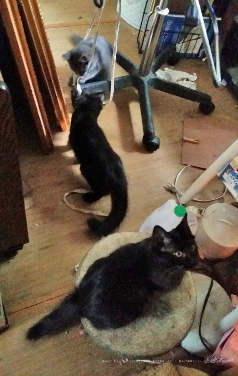 The little three invade my studio.