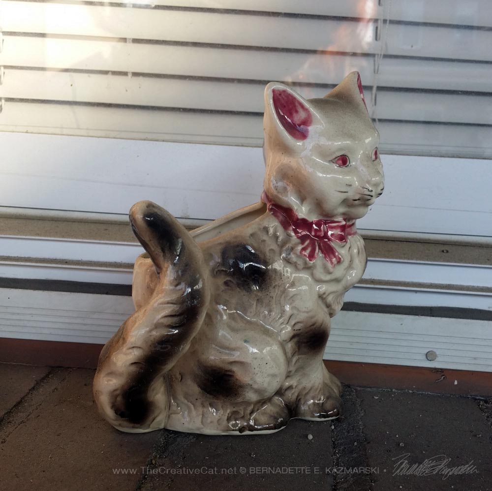 Kitty nuber 3 on the windowsill.