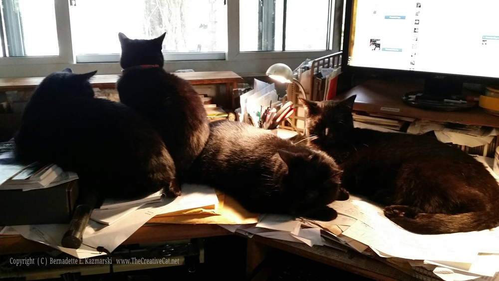 Four cats on desk.