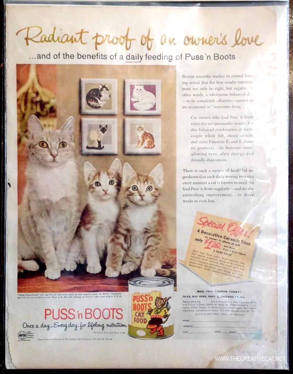 photo by Walter Chandoha from puss n boots ad